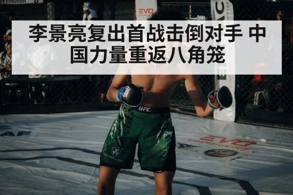 李景亮复出首战击倒对手 中国力量重返八角笼