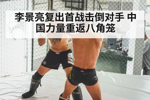 MMA knockout punch