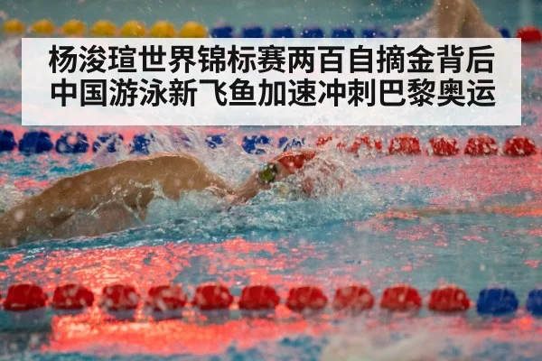 杨浚瑄世界锦标赛两百自摘金背后 中国游泳新飞鱼加速冲刺巴黎奥运